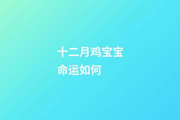 十二月鸡宝宝命运如何 (十二月的鸡宝宝好吗)-第1张-观点-玄机派